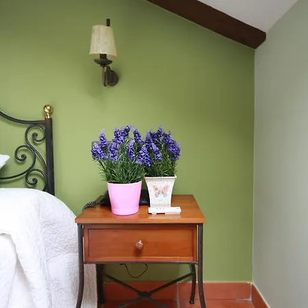 Отель Dona Elvira Nava 2*