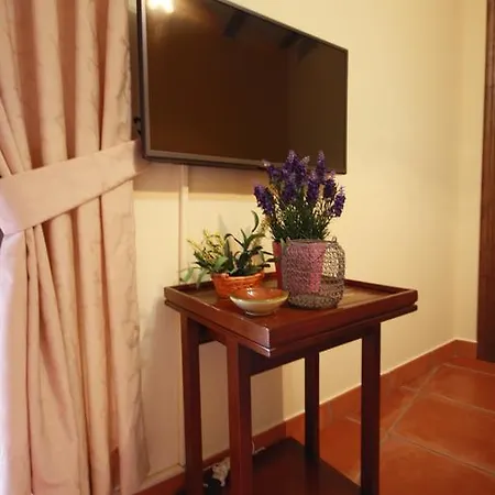 Dona Elvira Nava 2* Нава-дель-Рей