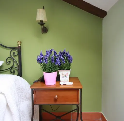 Hotel Dona Elvira Nava 2*